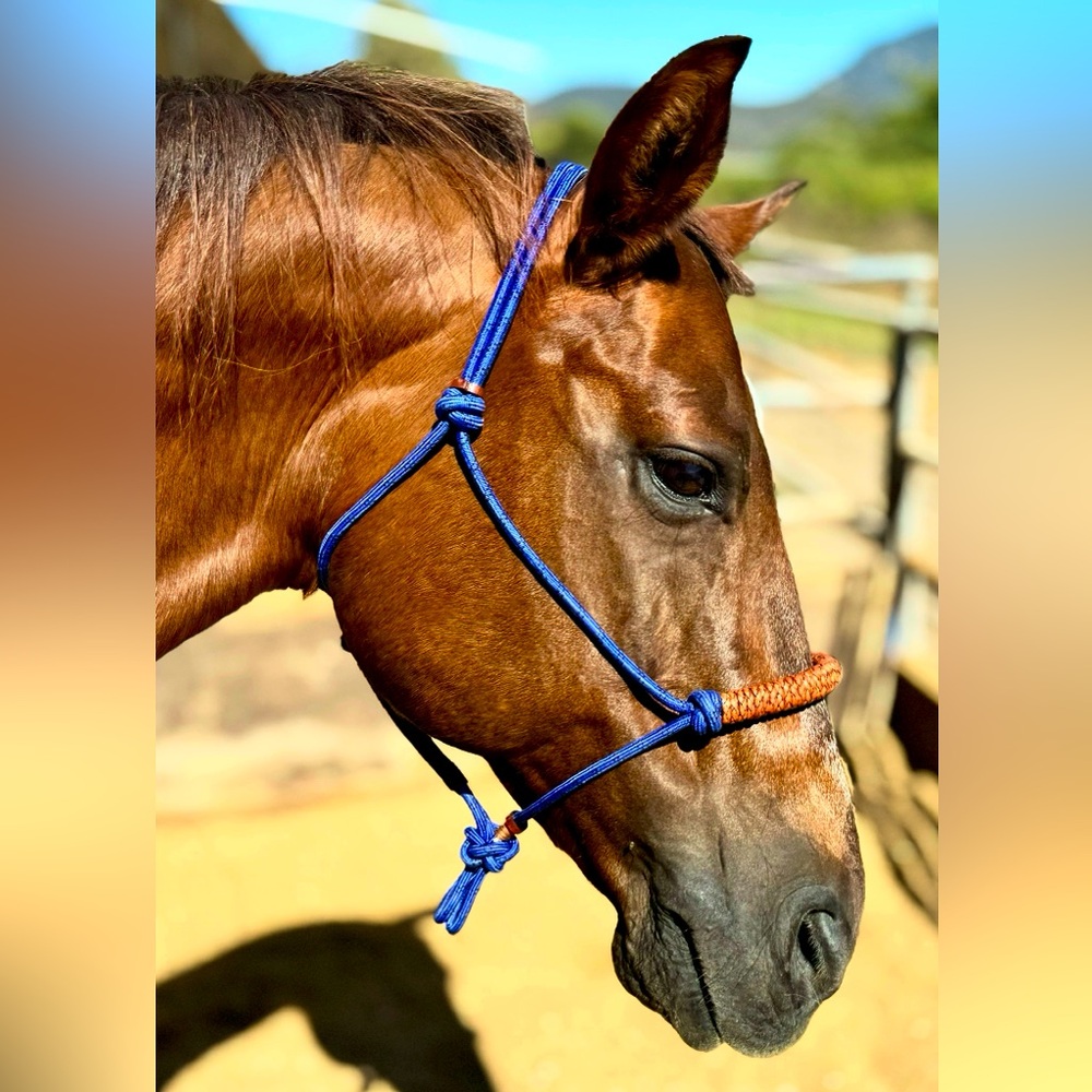 Bosal Rope Halter